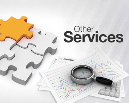 Other-Services